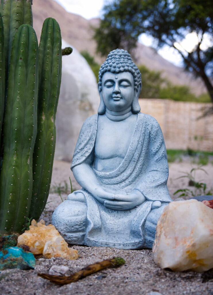 DSC09072-scaled-e1751980787383 (1)